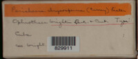 Image Associated With the Occurence